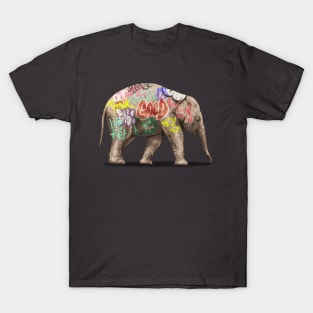 The camuflage T-Shirt